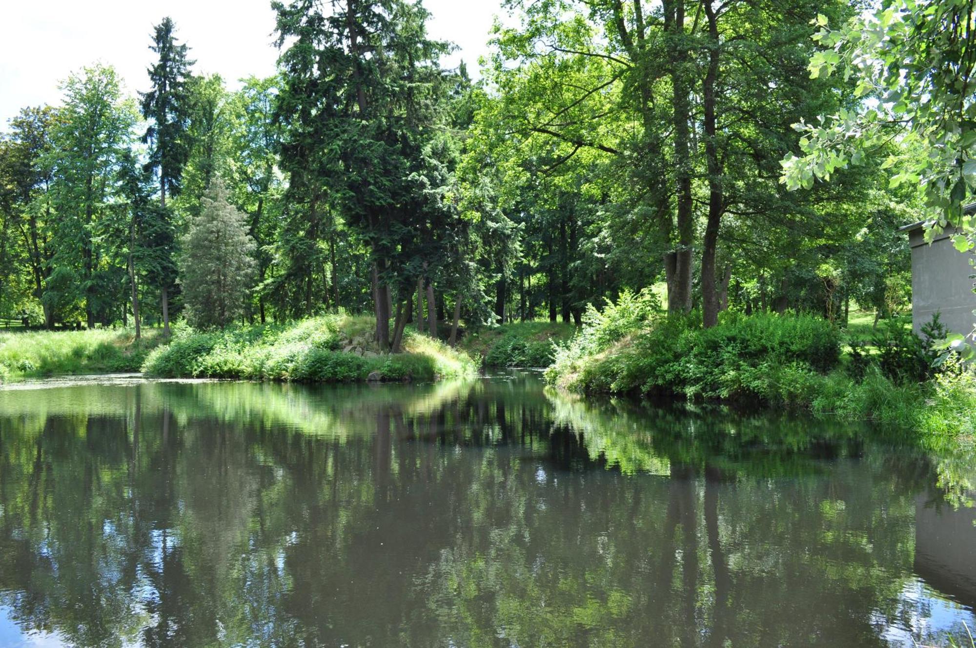 Apartman Krasna Lipa C. 1 Buitenkant foto